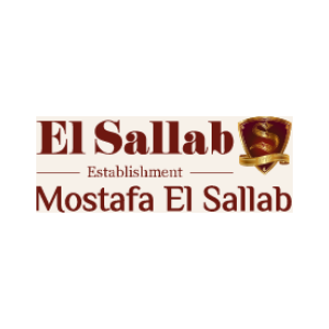 Mostafa El Sallab Careers (2023) - Bayt.com