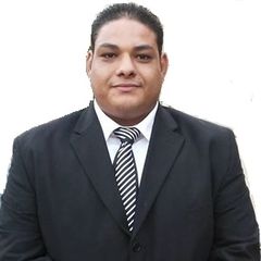 Mustafa Mohammed Nasr El Den Mohammed Adam - Bayt.com