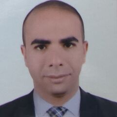 Ahmed Khattab - Bayt.com