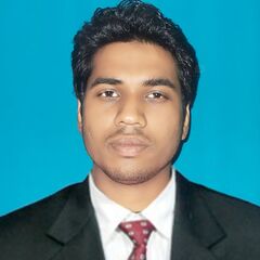 Praveen Kumar Srivastava - Bayt.com