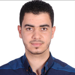 Mostafa mahmoud Ahmed - Bayt.com